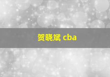 贺晓斌 cba